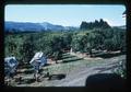 Orchard, Mid-Columbia Experiment Station, Hood River, Oregon, 1979