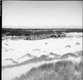 Landscape view of dunes