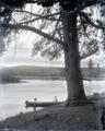 Man and a woman in a canoe on a river