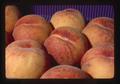 Closeup of best box of peaches, Oregon State Fair, Salem, Oregon, 1975