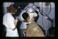 Technicians taking blood samples from cattle, Klamath Experiment Station, Klamath Falls, Oregon, 1972