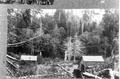 McMurphy claim 7/81.  Siletz County OR.  Cut two trees for clearing