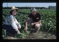 Mei Wang and Harry Mack in the field, Oregon State University, Corvallis, Oregon, 1975