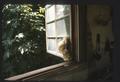 Practical tip--pure wool stuffed in hole in window for insulation (moths won't go through the lanolin)