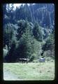 Horses in pasture between Florence and Monroe, Oregon, 1981