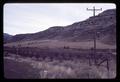 Fruit tree plantings near Kimberly, Oregon on John Day River, circa 1970