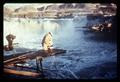 Native American fishing at Celilo Falls, Columbia River, circa 1955