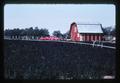 Mint field and red barn, Lane County, Oregon, August 1977