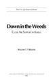 Down in the Weeds:  Close Air Support in Korea