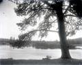 View of a river, Central Oregon?