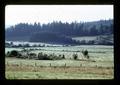 Meadowland along highway near Blodgett, Oregon, July 1973