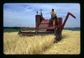 Combining new barley, North Willamette Experiment Station, Aurora, Oregon, circa 1972