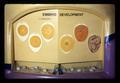 Closeup of right side of Humpty Dumpty egg incubator, Oregon Museum of Science and Industry, Portland, Oregon, circa 1970