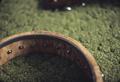 Curly maple banjo, detail of rim