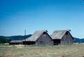 Barns (Umpqua, Oregon)