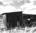 Chicken Coop, Shirk Ranch (Adel, Oregon)