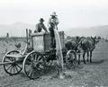 Irrigating young fruit trees from a wagon