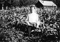 Alice Johnson, Victory Garden