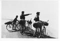 Young men on bicycles at coast highway overlook