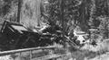 Derailed log train, Oregon Lumber Company, Sumpter, Oregon