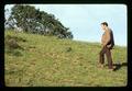 Man in sheep pasture, Scholls, Oregon, circa 1970