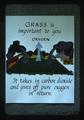 Grass Is Important To You presentation slide, 1977