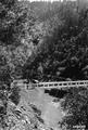 North end of trail bridge across the Rogue River, near China Gulch, Siskiyou National Forest