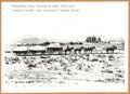 Freighting from Shaniko to Bend - 1901-1911 - Lakeview outfit near Antelope's Brogan Place