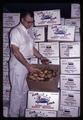 Paul Barnes with potatoes boxed at Madras Produce, 1966