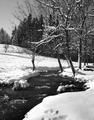 Oregon snow scape at Pringle Creek