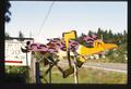 whirligigs: 28 x 6 inches, road runner