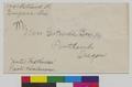 Envelope addressed to Gertrude Bass Warner from 'Hotel Heathman'