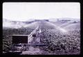 Frost control with solid set sprinklers, Klamath Falls, Oregon, 1966