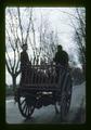 Pigs going to market in two-wheeled cart, Portugal, January 1971