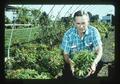 Robert Ticknor with rhododendrons, North Willamette Experiment Station, Oregon State University, Aurora, Oregon, 1975