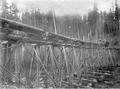 Locomotive pushing railroad cars with logs over wood trestle