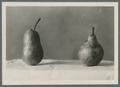 Pears, 1931