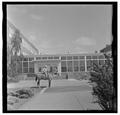 E. L. "Dad" Potter, Animal Husbandry professor, posing with a horse, May 1964