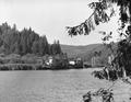 River boat graveyard, Coquille River