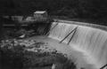 Dam and fish ladder