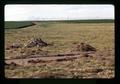 Rock pile and sprinkler irrigation, Umatilla County, Oregon, circa 1973