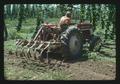 Roger Kerr cultivator/weeder