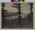 View through trees of Vista House and Columbia River (recto)