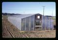 Plastic greenhouse on Larry Boersma's plots at Hyslop Farm, Oregon State University, Corvallis, Oregon, circa 1971