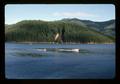 Water skier on Detroit Lake, Oregon, June 1974