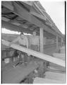 OSC forestry student, Paul Rooney, at Johnny Thompson's mill in Blodgett for Crow's Lbf. Digest, May 1955