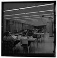 Students studying in the Kerr Library