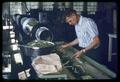 Sorting beans in Food Technology pilot plant, 1965