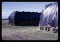 Closeup of plastic cover held down with tires over ryegrass, Oregon, circa 1971