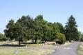 Linkville Pioneer Cemetery (Klamath Falls, Oregon)